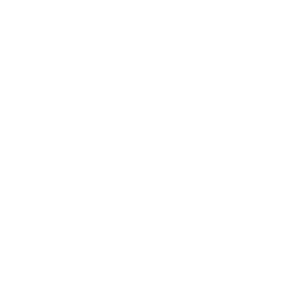 ce logo Somerville