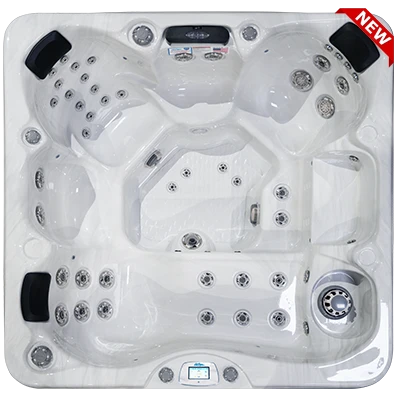 Avalon-X EC-849LX hot tubs for sale in Somerville